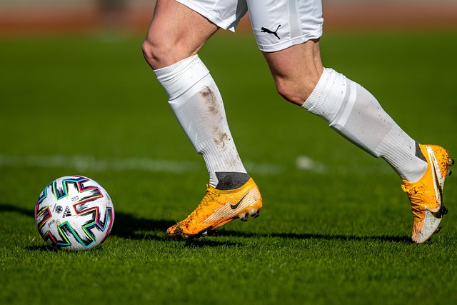 内斯防线 内斯防线