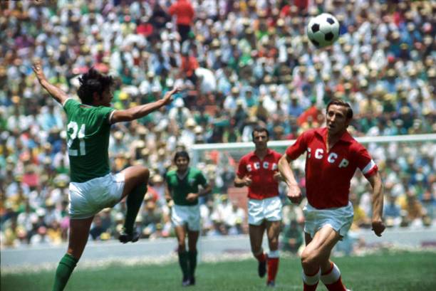 赛因为其波 赛因为其波